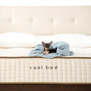 Real Bed Mattresses